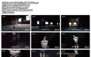 A859-半岛束艺台_古墓丽影 下