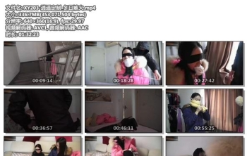 XY203-逍遥定制_冬日嫉火