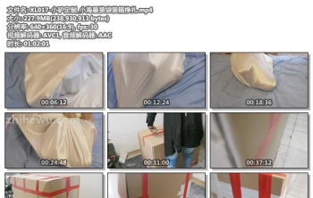 XL017-小驴定制_小海星装袋装箱挣扎