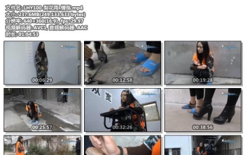 LHY100-梨花雨_情殇