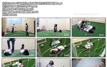 D199-半岛束艺台_第二届半岛杯女子足球锦标赛