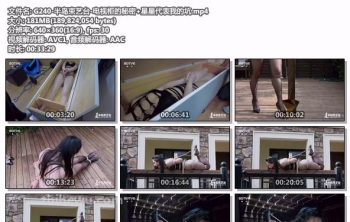 G240-半岛束艺台-电视柜的秘密+星星代表我的坑