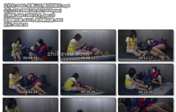 D402-胜景山庄_最后的娱乐