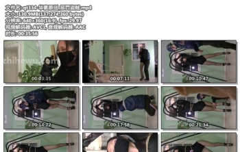 qt334-华素原创_惩罚盗贼