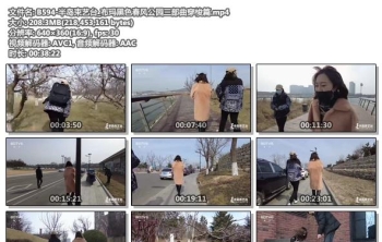 B594-半岛束艺台_布玛黑色春风公园三部曲穿梭篇