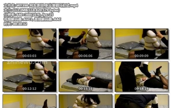 WY398-网友原创_职业装驷马初试