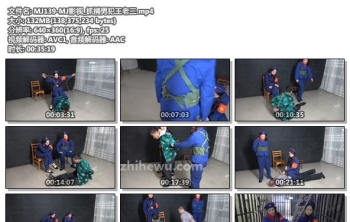 MJ139-MJ影视_抓捕男犯王老三