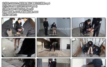 LHY071-梨花雨_毒妇 毒贩女犯肖丽