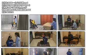 B506-一九八七年春