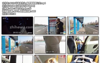 B225-半岛束艺台_鹿野捆绑乘公交