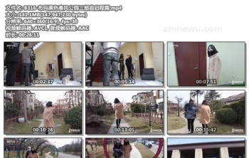 B316-布玛黑色春风公园三部曲启程篇