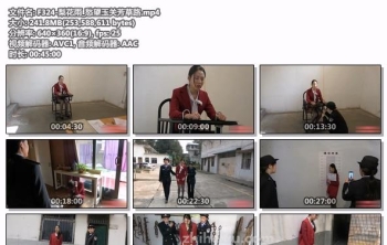 F324-梨花雨_愁望玉关芳草路