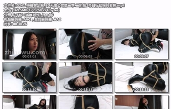 G241-得意客定制_BD无限公司第二季 二阶段2号目标侦探向若楠