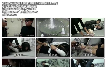 HN054-灰鸟原创_女经理和女秘书的劫难 上