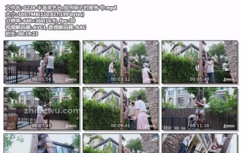 G228-半岛束艺台_绞刑架下的报告 中