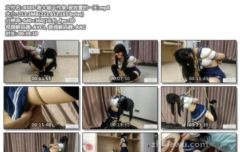 B585-嗷大喵工作室_被放置的一天