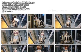 C266-半岛束艺台_鹿野 按摩椅