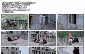 G225-半岛束艺台_姜格庄战役