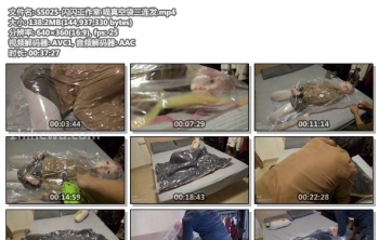 SS025-闪闪工作室 喵真空袋三连发