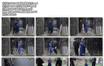 D143-MJ影视_蓝袍女烈