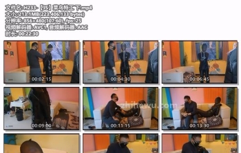 H233-【JS】菜鸟特工 下