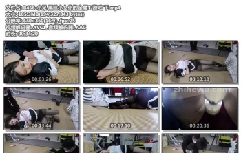 B456-小呆 黑丝小女仆的金属TJ游戏 下