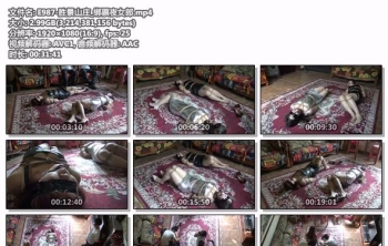 E987-胜景山庄_绑票夜女郎