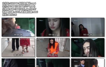 LHY040-梨花雨_情劫