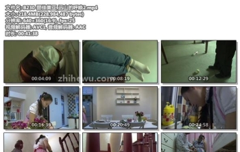 B230-丽佳美亚_远山的呼唤2