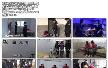 LHY017-梨花雨_紫砂壶