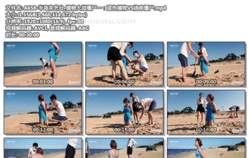 A658-半岛束艺台_植物大战僵尸一：蓝色植物VS挠痒僵尸