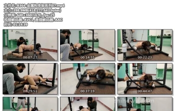 B364-金属拘束架系列07