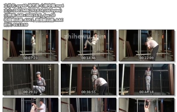 syy40-神艺缘-心娴专辑