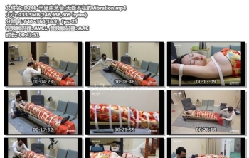 D246-半岛束艺台_无处不在的Vibration