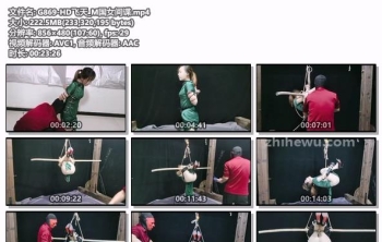 G869-HD飞天_M国女间谍