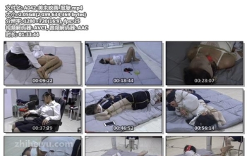 A042-美束映画_报复