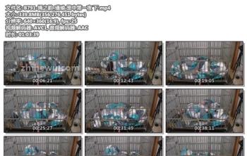 B791-绳之韵_瑾瑜 笼中第一夜 下