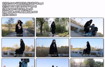 F264-半岛束艺台_秋天的芦苇