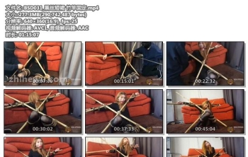 BSD031_黑丝短裙 竹竿固定