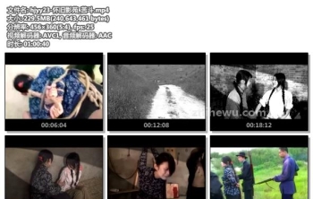 hjyy23-怀旧影苑_苦斗