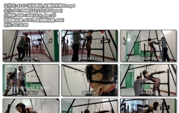 B147-浅浅原创_金属拘束架05