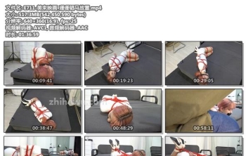 E711-美束映画_珊珊驷马放置