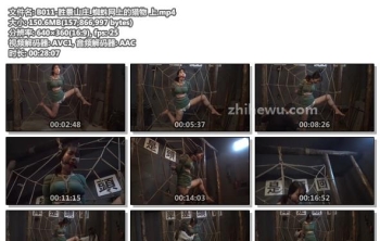 B011-胜景山庄_蜘蛛网上的猎物 上