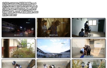 LHY002-梨花雨_凋落