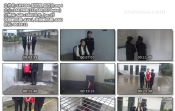 LHY094-梨花雨_血百合