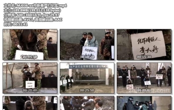 MJ036-xx市新春严打纪实