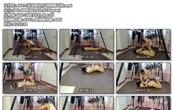 A931-浅浅原创_不锈钢驷马架