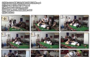 E725-胜景山庄_球桌上的驷马宠物