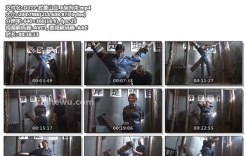 D377-胜景山庄_X架拘束