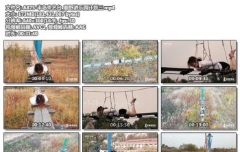 A875-半岛束艺台_鹿野游乐园计划三